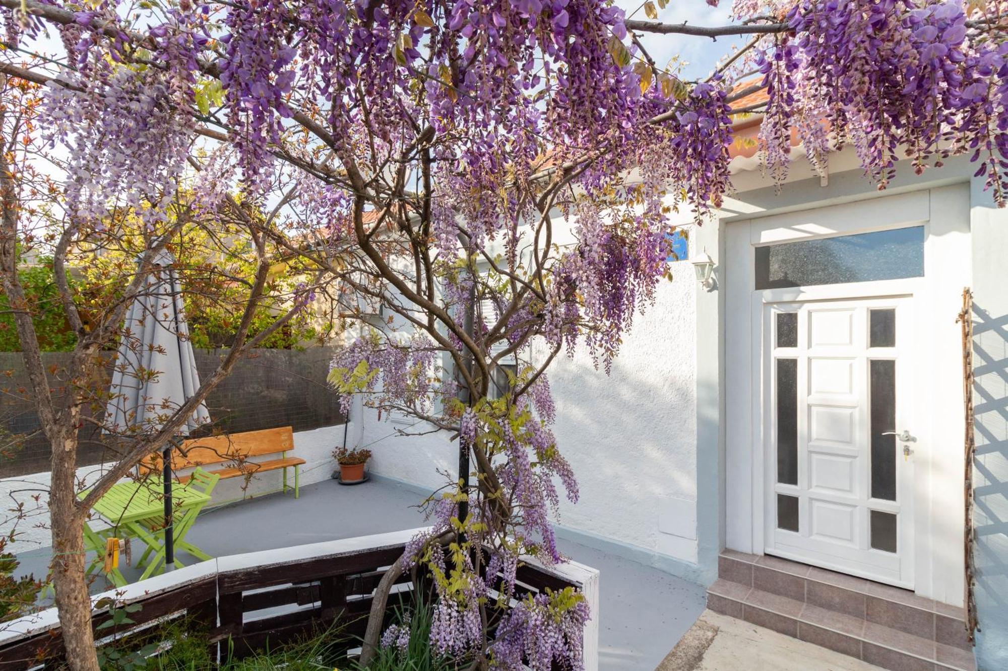 Apartman Ema Zadar Ngoại thất bức ảnh